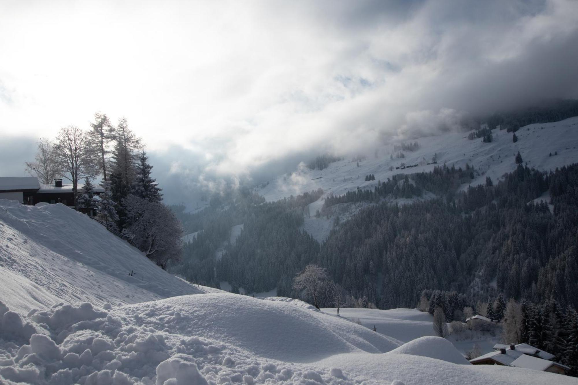 Ferienwohnung Bergpanorama Wild600 Schwarzenau  Екстер'єр фото